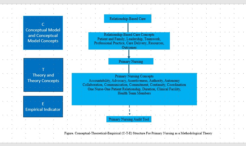 Primary Nursing: A Methodological Theory | Nursology
