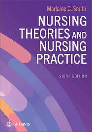 Theoretical Nursing 6th ed. 原文第6版MELEIS Theoretical Nursing